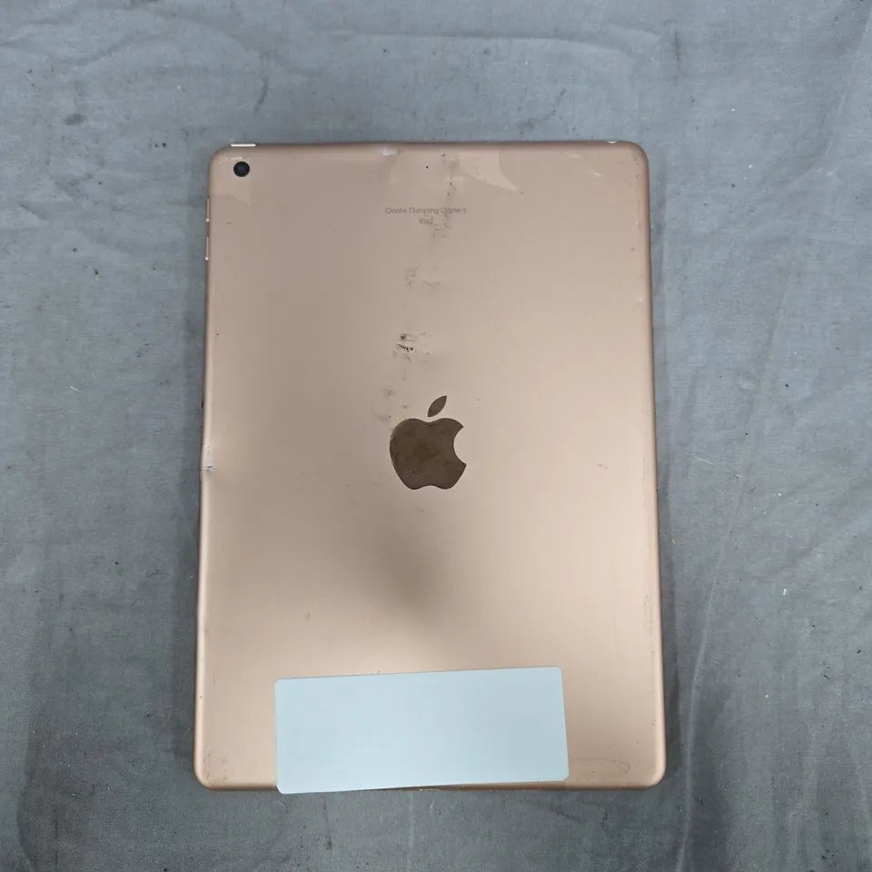 APPLE IPAD TABLET IN ROSE - A1893