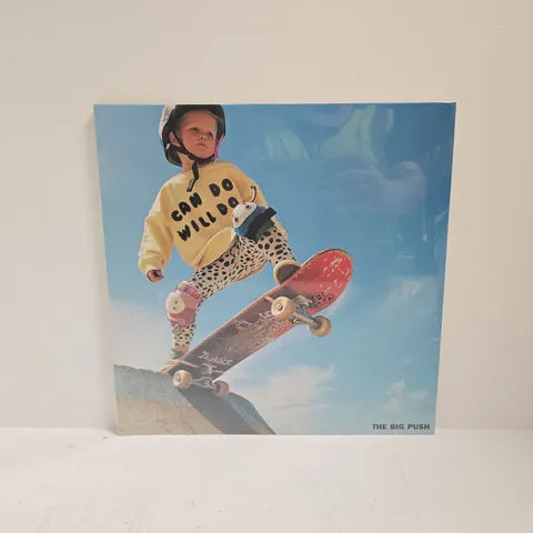 THE BIG PUSH CAN DO WILL DO VINYL