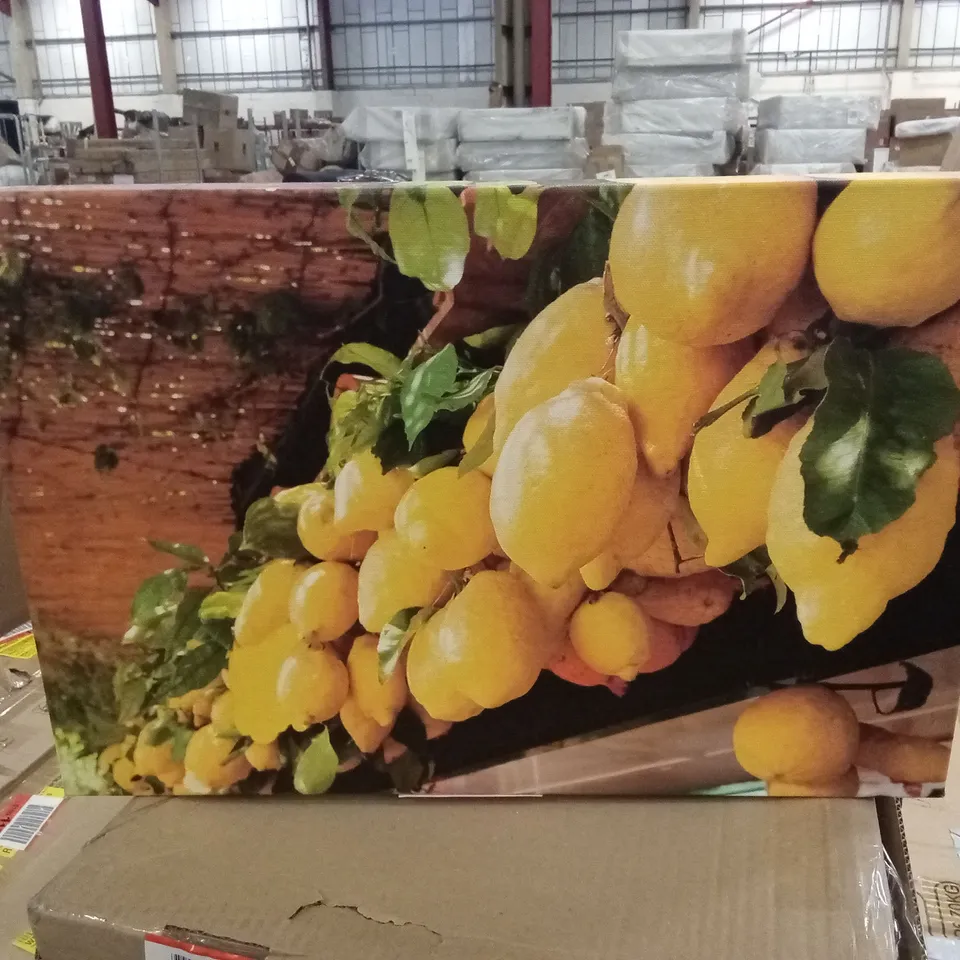 TRADITIONAL ITALIAN LEMONS BY MICHAEL - WRAPPED CANVAS PRINT