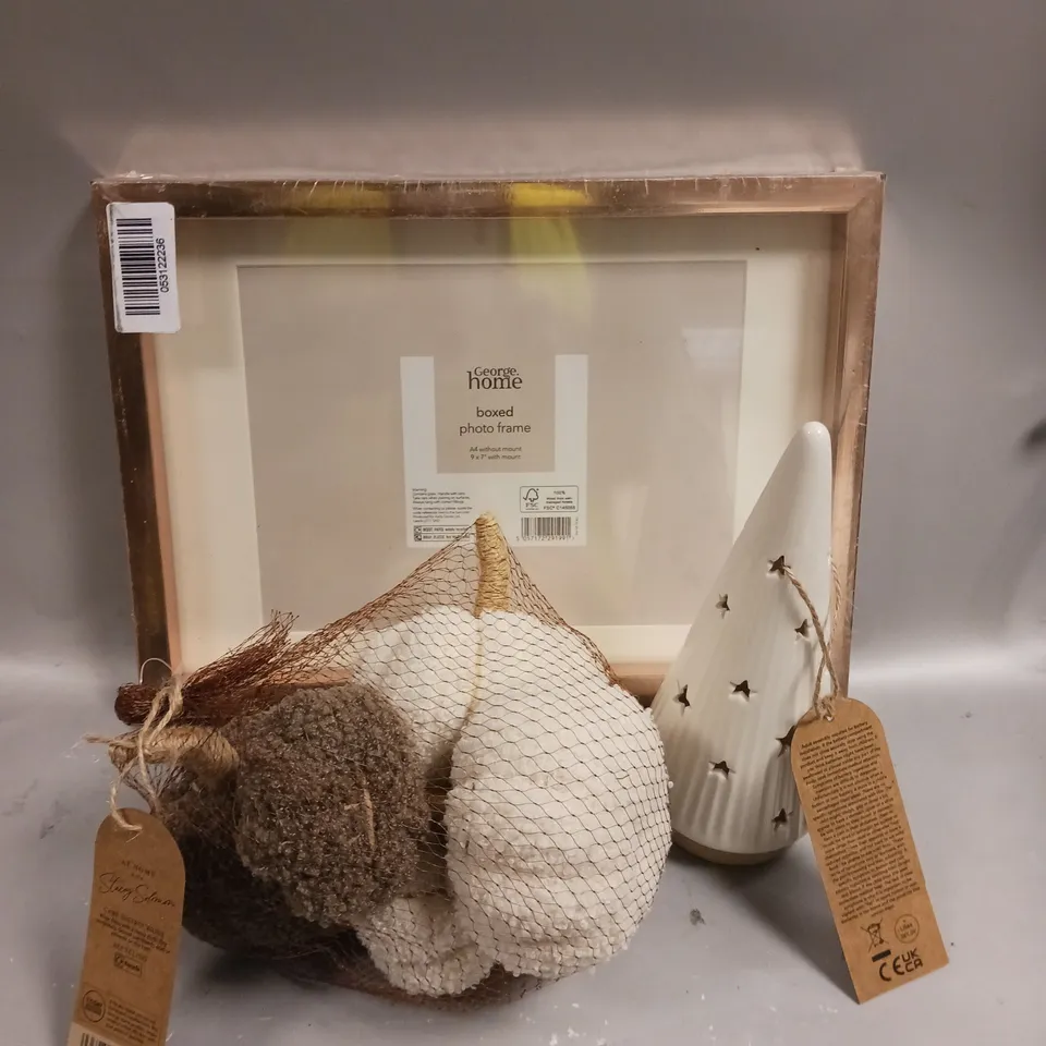 APPROXIMATELY 15 ASSORTED HOMEWARE PRODUCTS TO INCLUDE MINI LIGHT UP TREE, PHOTO FRAMES, DECORATIVE PUMPKINS ETC - COLLECTION ONLY 