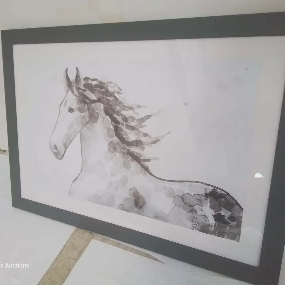 SKYDANCER - SINGLE PICTURE FRAME