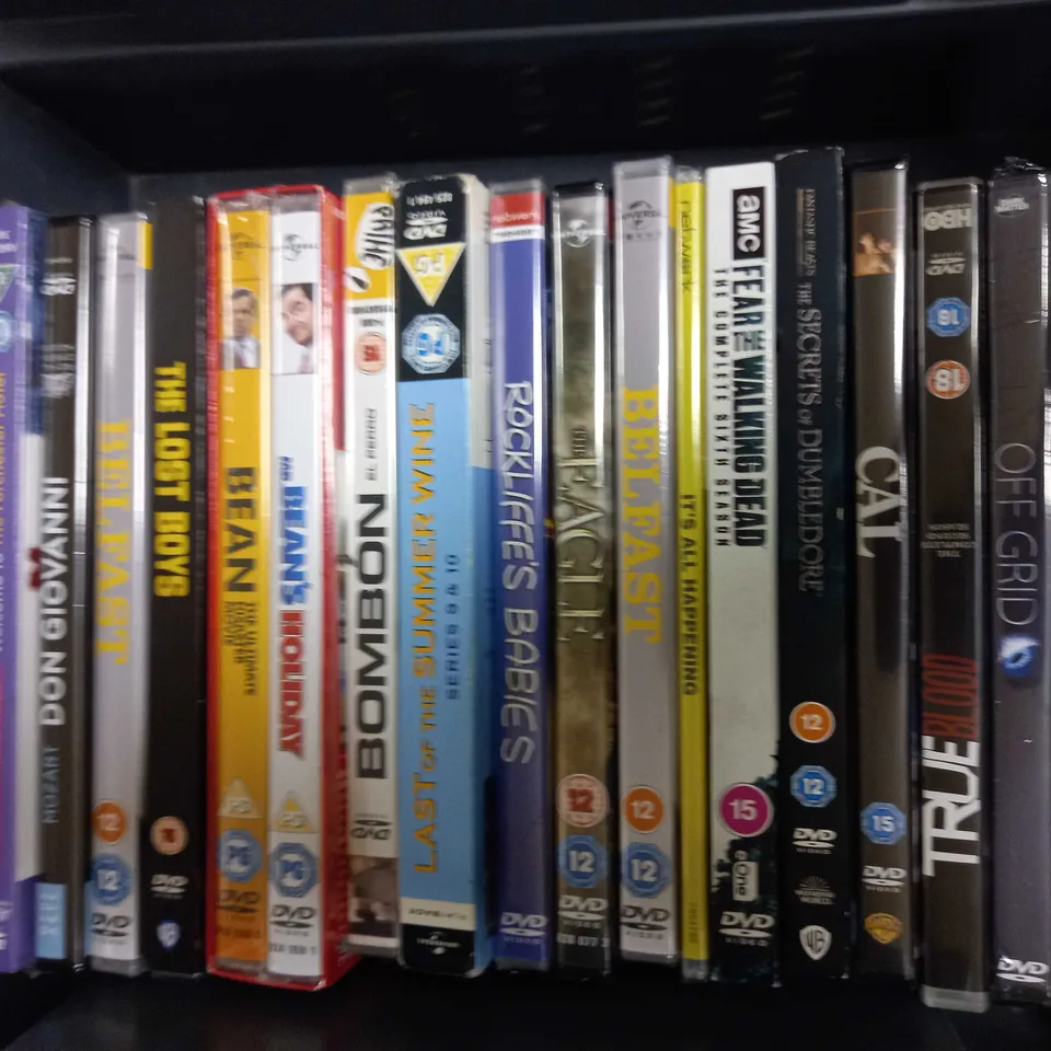 LOT OF APPROXIMATELY 25 ASSORTED DVDS, TO INCLUDE FANTASTIC BEASTS, THE WALKING DEAD, THE BATMAN, ETC