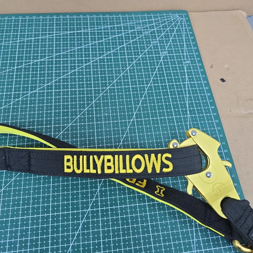 BULLBILLOWS YELLOW SAFETY LANYARD WITH QUICK-RELEASE BUCKLE