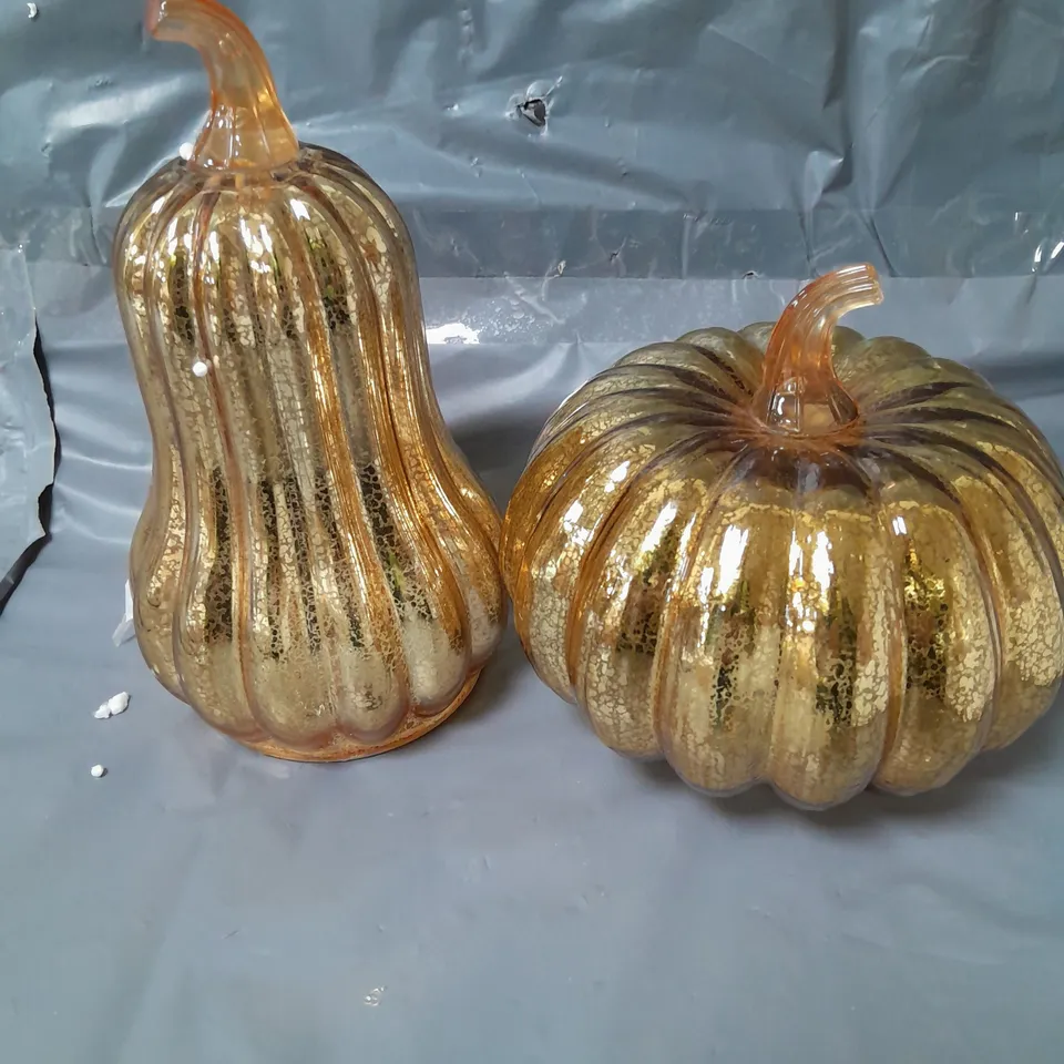 LIGHT UP PUMPKIN AND GOURD SET RRP £19.99