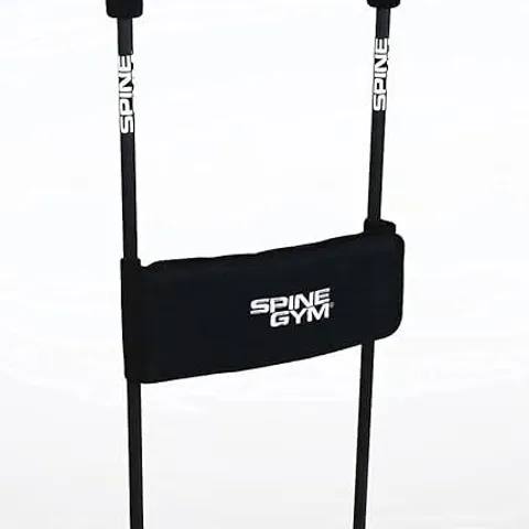 SPINE CORE EXERCISER