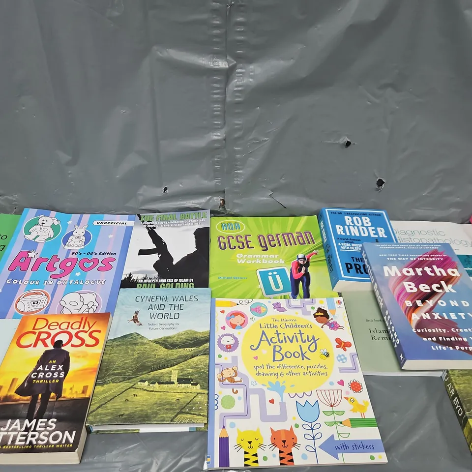 LARGE QUANTITY OF ASSORTED BOOKS IN VARIOUS GENRES TO INCLUDE WORKS BY SUSAN PETERSON, MARY BERRY, DONNA TARTT - COLLECTION ONLY