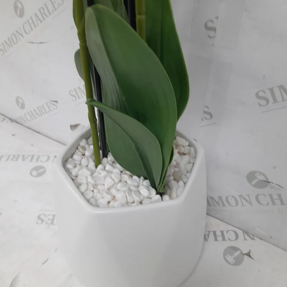 JULIEN MACDONALD MULTI STEM ORCHID IN WHITE GLAZED POT