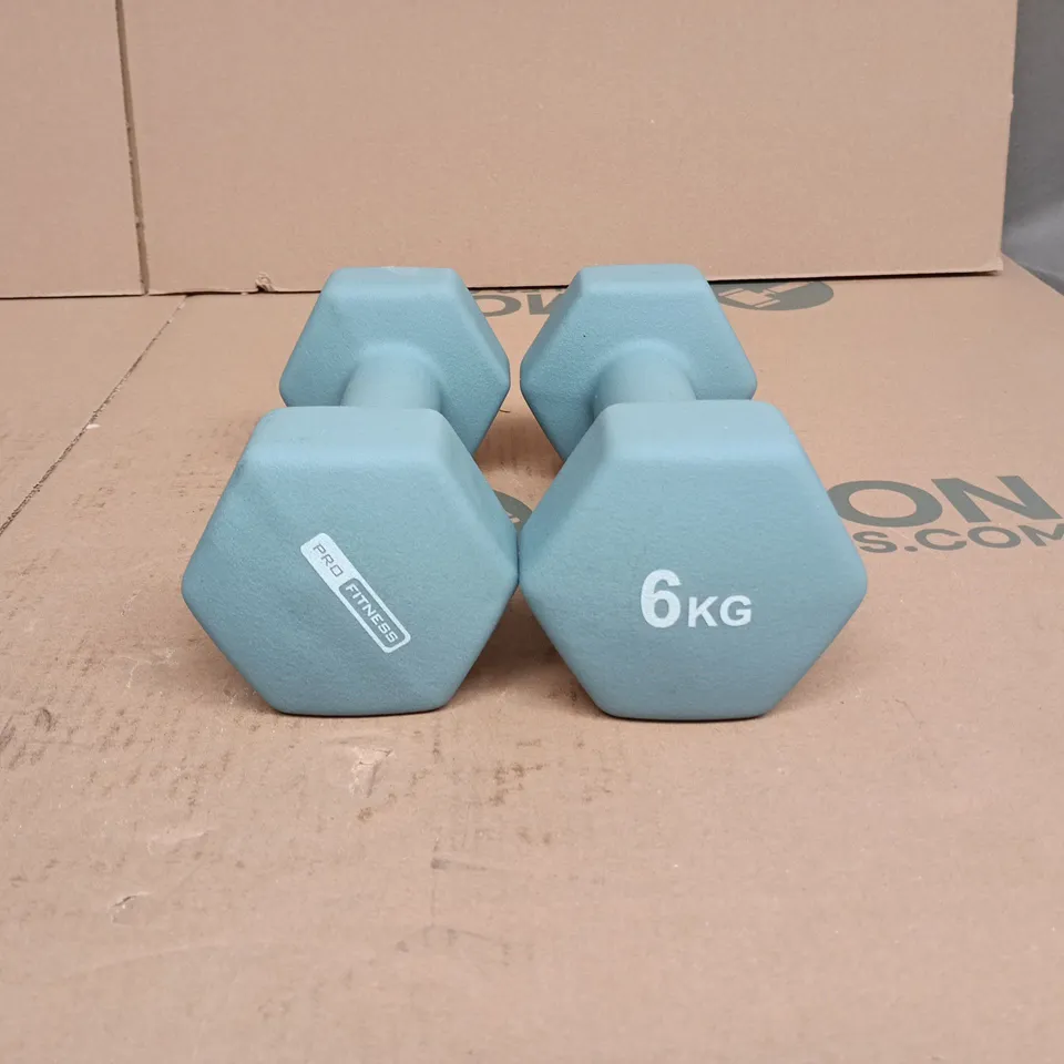 2 X PRO FITNESS 6KG DUMBBELLS