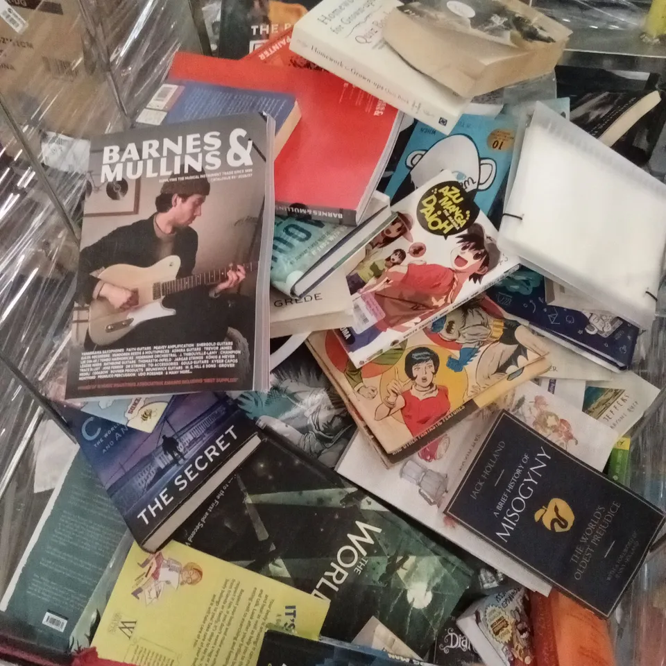 CAGE TO CONTAIN A LARGE ASSORTMENT OF BOOKS - CAGE NOT INCLUDED 