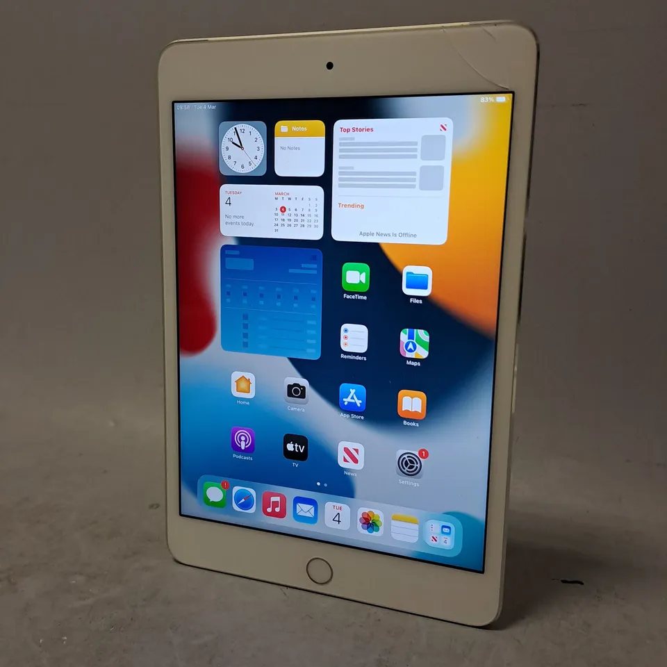 APPLE IPAD MINI 4