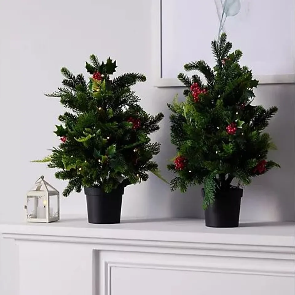 GARDEN REFLECTIONS 'DRESS YOUR DOOR COLLECTION' 2X 60CM PRE-LIT