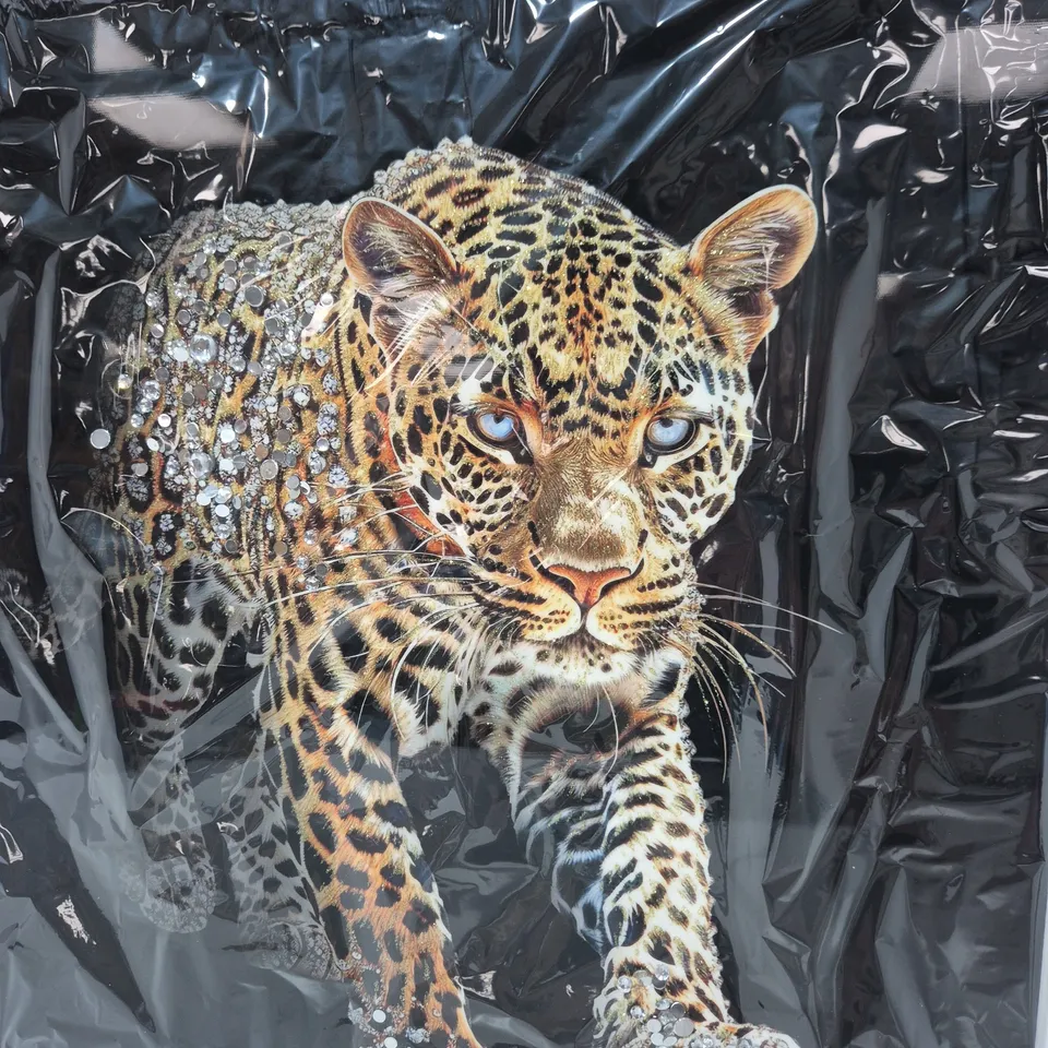 LOT OF 18 AS NEW SHUDEHILL LEOPARD THEMED WALL ARTS - APPROX 50X50CM