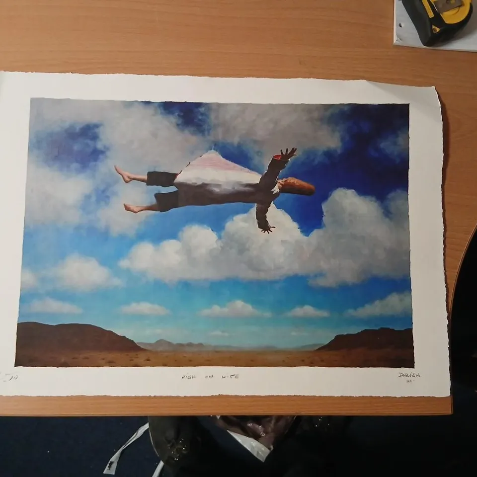 DARVISH 'HIGH ON LIFE' SIGNED PRINT 61 X 43CM