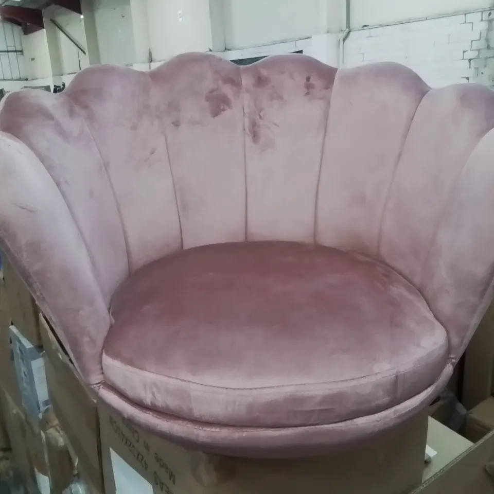 BOXED PINK VELVET FABRIC UPHOLSTERED SHELL BACK SIDE CHAIR /GOLD LEGS
