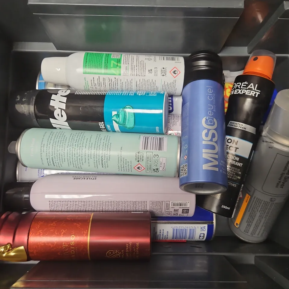 APPROXIMATELY 11 ASSORTED AEROSOLS TO INCLUDE HALFORDS NISSAN BLADE SILVER SPRAY, LOREAL CARBON PROTECT, GILLETTE SHAVING GELL, ETC - COLLECTION ONLY
