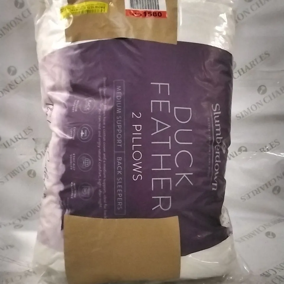 BAGGED SLUMBERDOWN DUCK FEATHER X2 PILLOWS