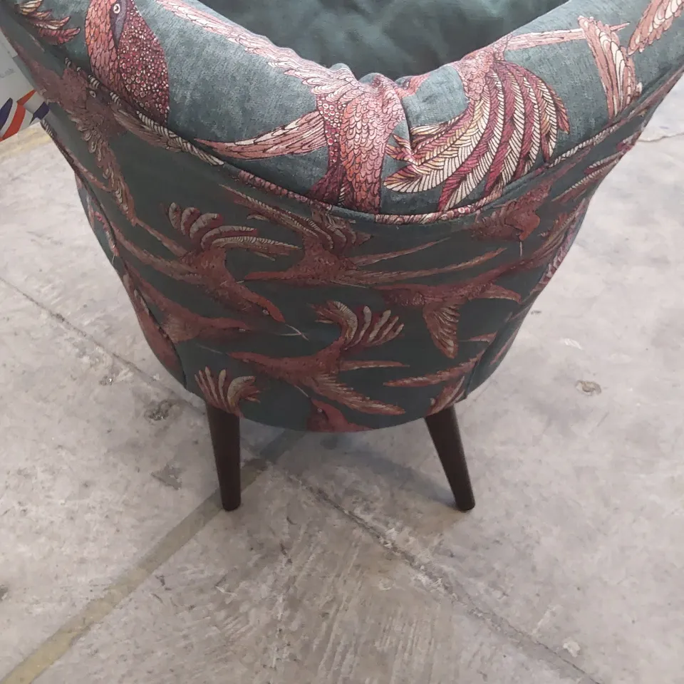 QUALITY BRITISH DESIGNER LOUNGE Co. OCCASIONAL CHAIR BIRD OF PARADISE FABRIC