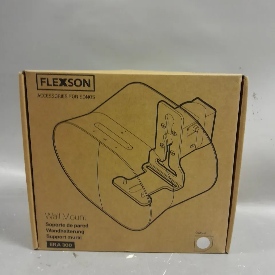FLEXSON WALL MOUNT ERA 300
