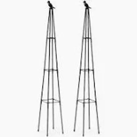 GARDEN STORIES SET OF 2 DECORATIVE PLANT SUPPORTS