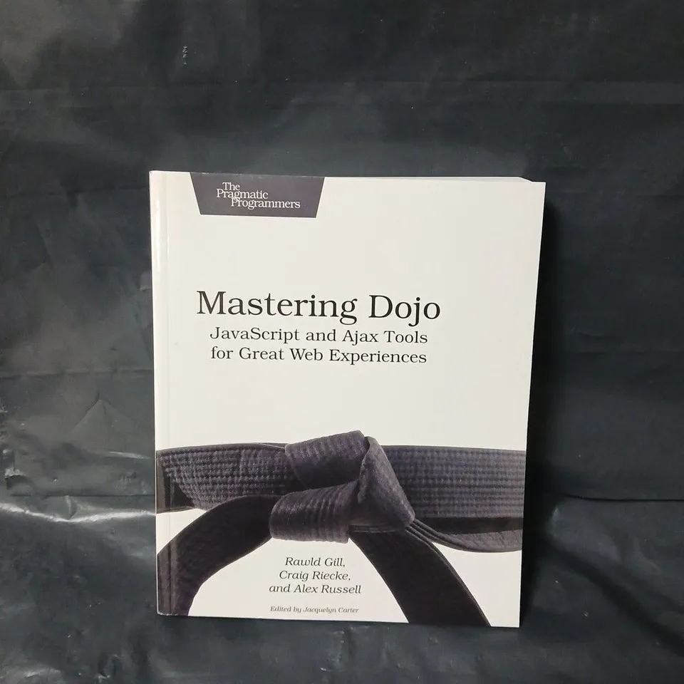 MASTERING DOJO PAPERBACK – 1 JULY 2008 BY CRAIG RIECKE