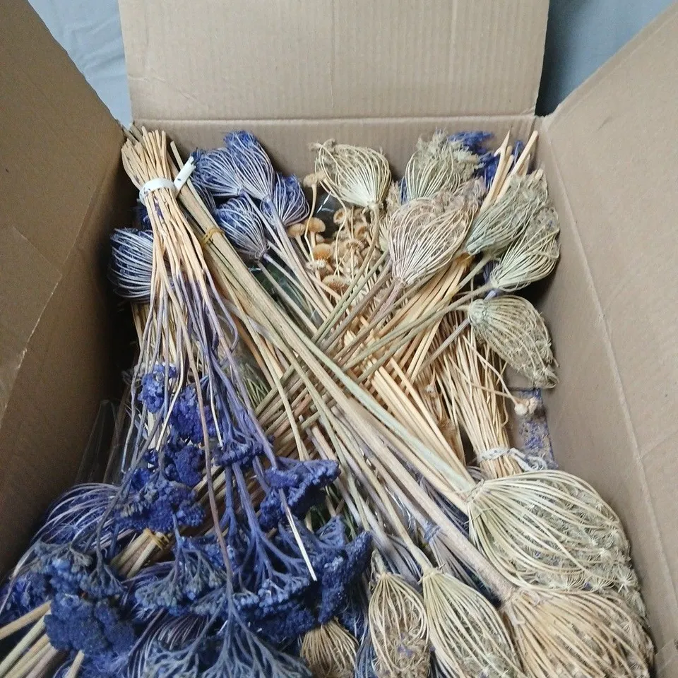 BOX OF ASSORTED DRIED FLOWERS  IN CARDBOARD BOX – HOME DÉCOR