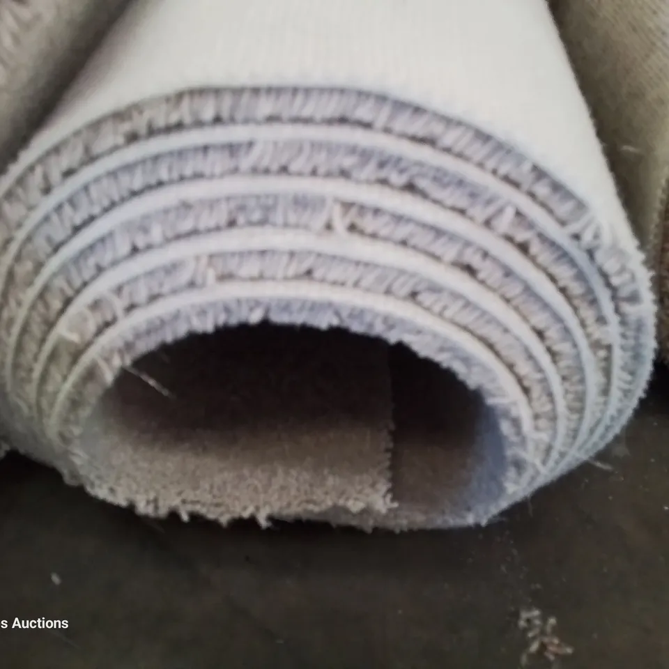 ROLL OF QUALITY DIMENSIONS PLAINS CARPET APPROXIMATELY 5M × 3.02M