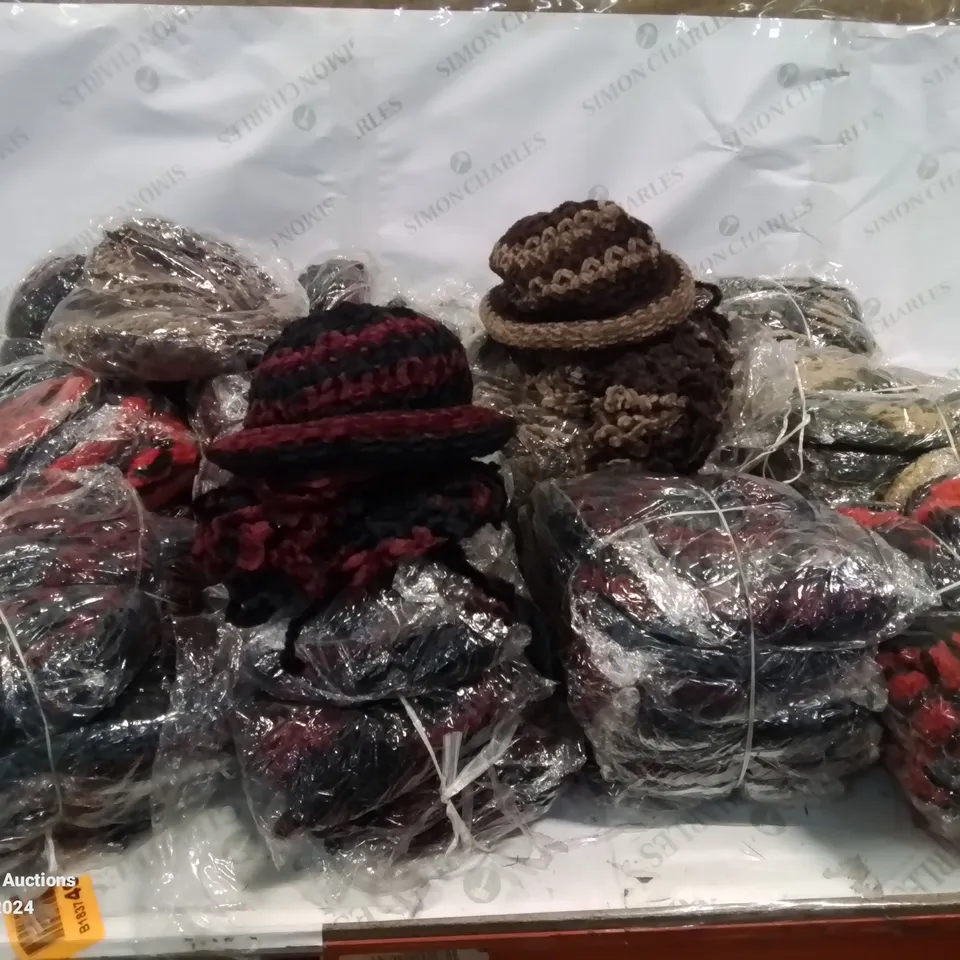 LOT CONTAINING LARGE AMOUNT OF BAGGED WOOLEN HATS IN VARIOUS COLOURS AND DESIGNS 