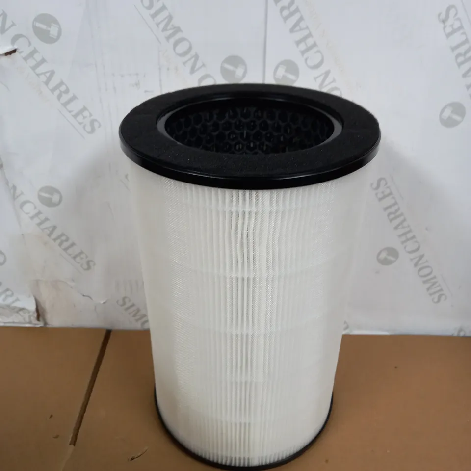 HOMEDICS TOTAL CLEAN REPLACEMENT TRUE HEPA FILTER