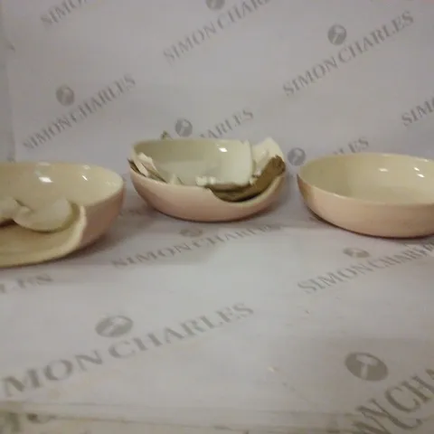 SPINWASH PINK 4 PC PASTA BOWLS
