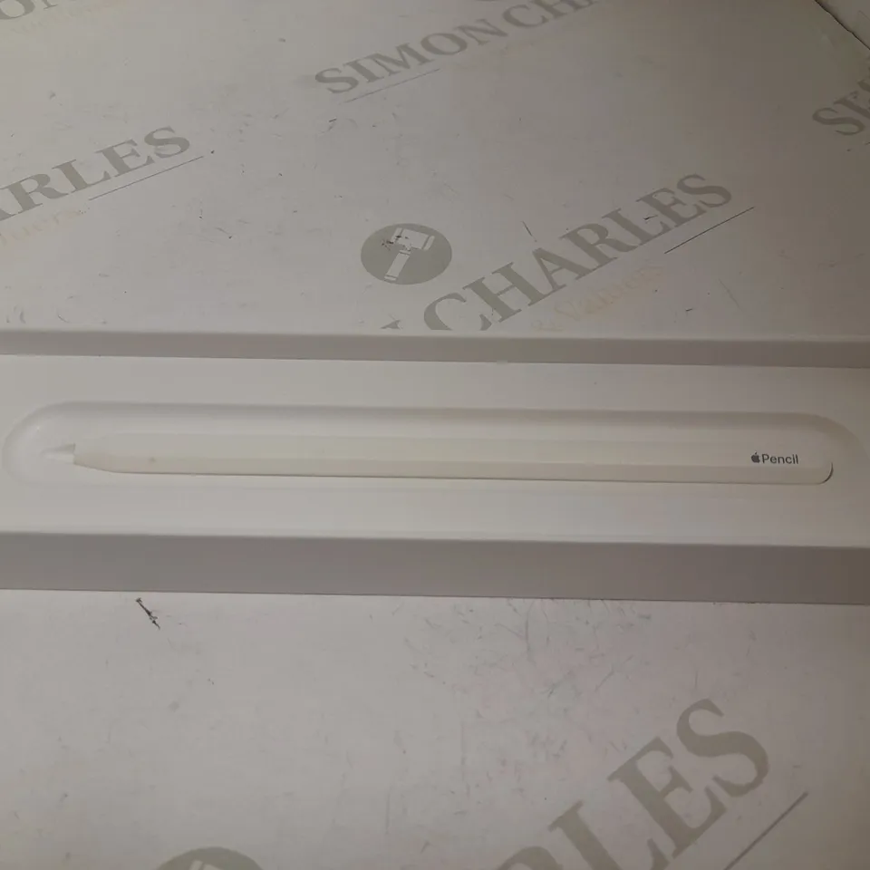 APPLE PENCIL (2ND GEN)