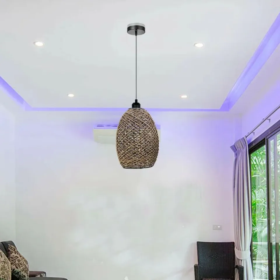 BOXED SILENUS 1-LIGHT DOME PENDANT