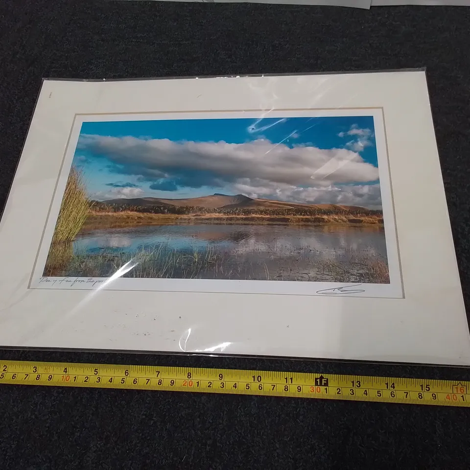 'PERY FAR FROM THE POOL' PHOTOGRAPH -IAN NICHOLSON 