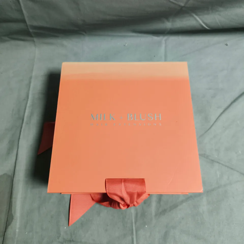SEALED MILK + BLUSH HAIR EXTENSIONS – 20IN CLASSIC 120G BRONDE HIGHLIGHTED (#H21) WITH TEST STRAND