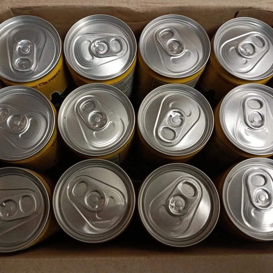 BOXED SET OF 12 LO BROS GINGER & LEMON KOMBUCHA CANS (12X250ML)