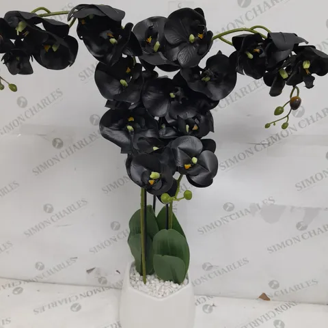 JULIEN MACDONALD MULTI STEM ORCHID IN WHITE GLAZED POT