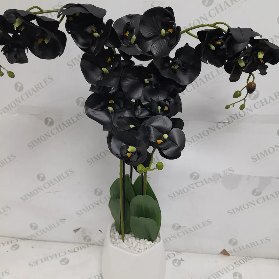 JULIEN MACDONALD MULTI STEM ORCHID IN WHITE GLAZED POT