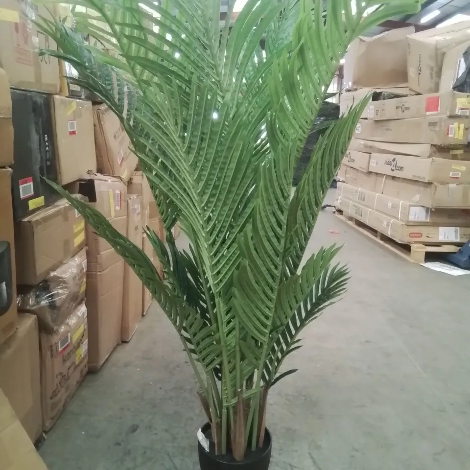 BOXED ARTIFICIAL ARECA PHOENIX PALM TREE