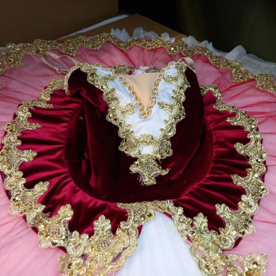 DESIGNER STIFF NETTED VELOUR DETAILED DANCE/FANCY DRESS COSTUME 