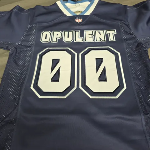 OPULENT APPAREL TSHIRT IN BLUE SIZE S
