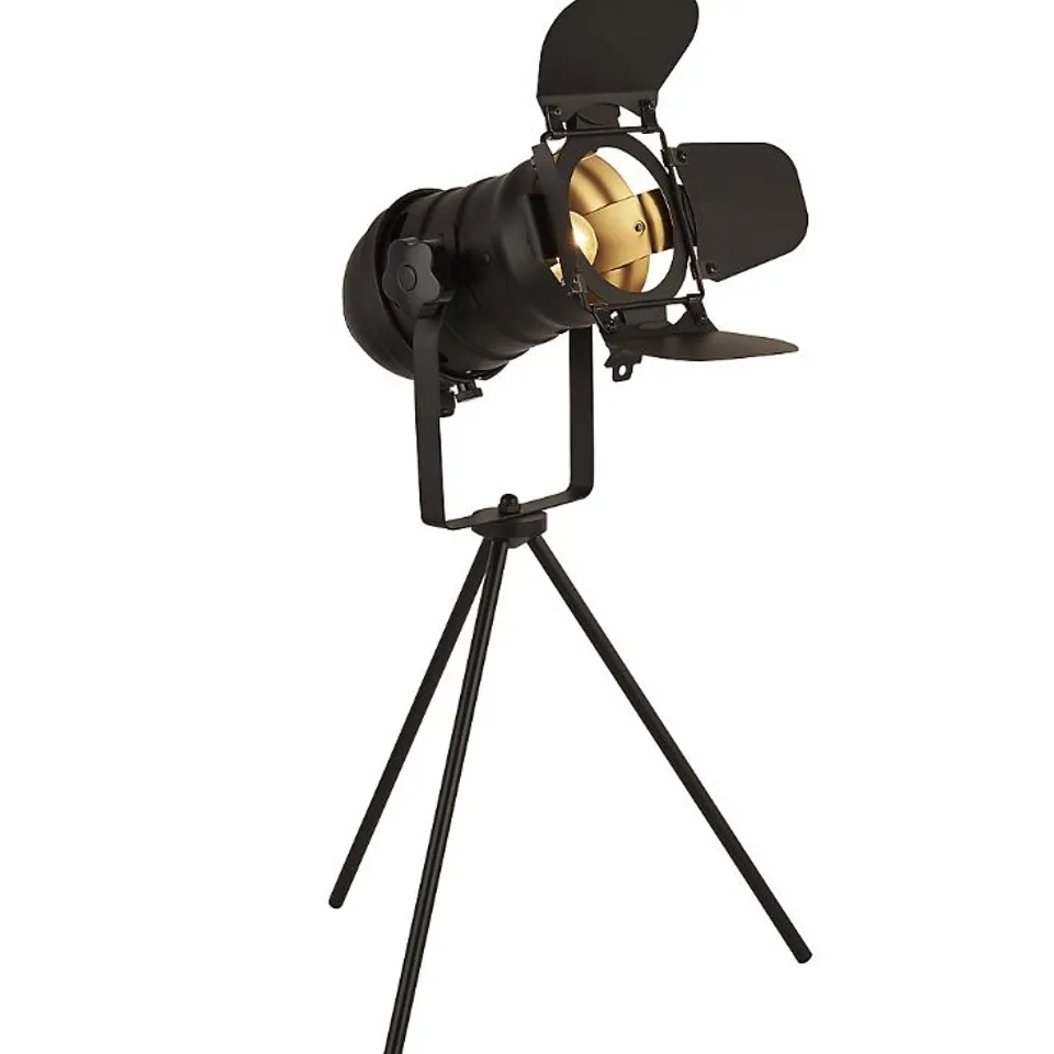 BOXED LIGHTING COLLECTION DACHEN BLACK TABLE LAMP (1 BOX)