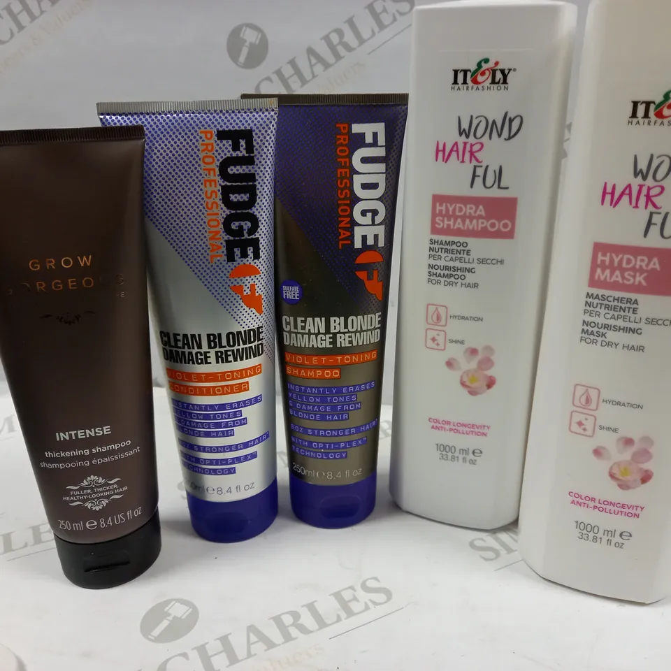 PREMIUM HAIRCARE PRODUCTS 5 ITEMS