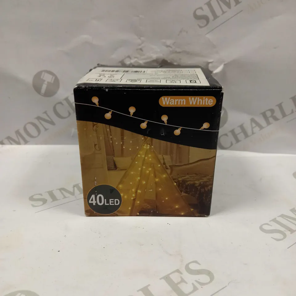 BOXED WARM WHITE 40 LED STRING LIGHTS