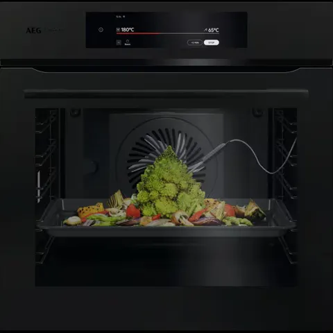 AEG 9000 PROASSIST PYROLYTIC SELF CLEAN BUILT-IN OVEN - PO9000PT