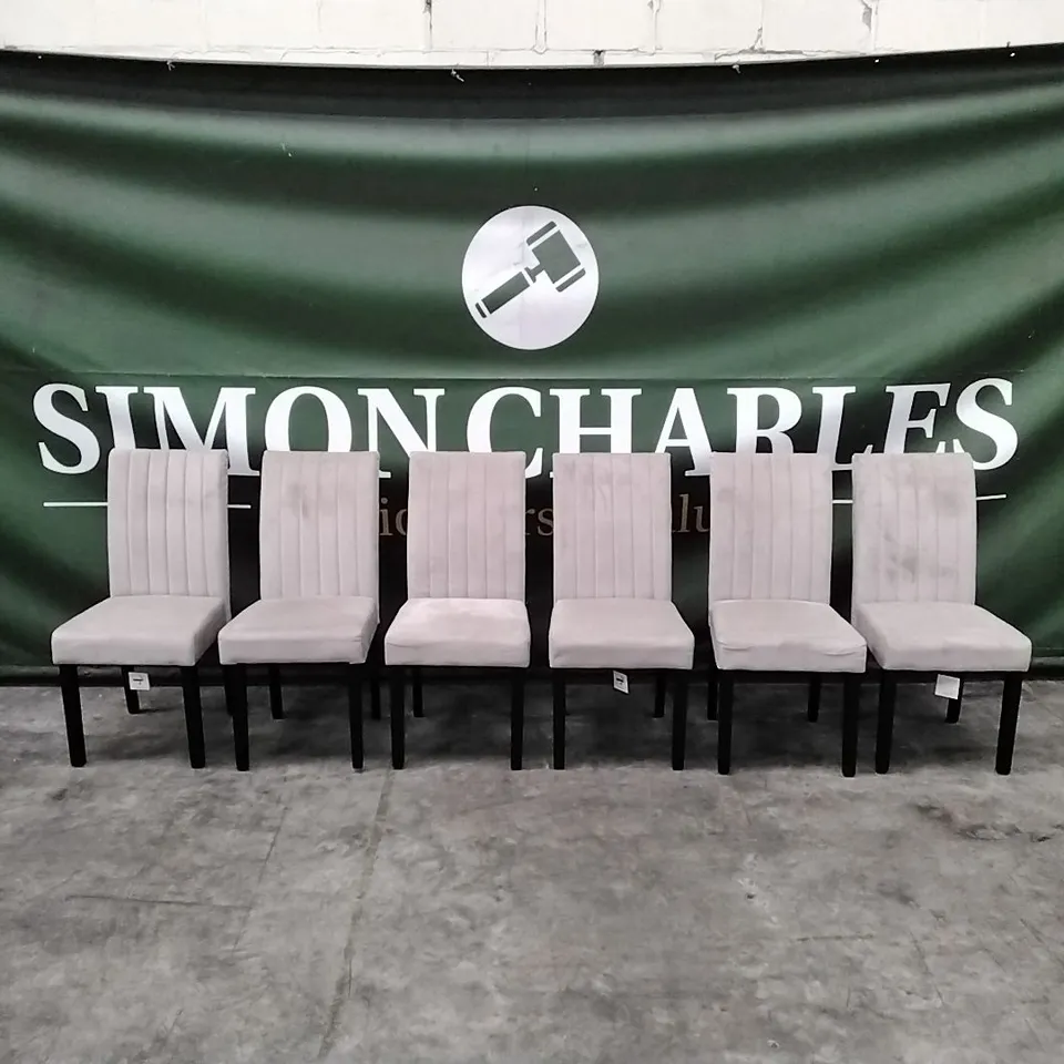 SET OF 6 DESIGNER SALISBURY DINING CHAIRS IN CLASSIC CHAMPAGNE VELVET AND BLACK SOLID HARDWOOD LEGS