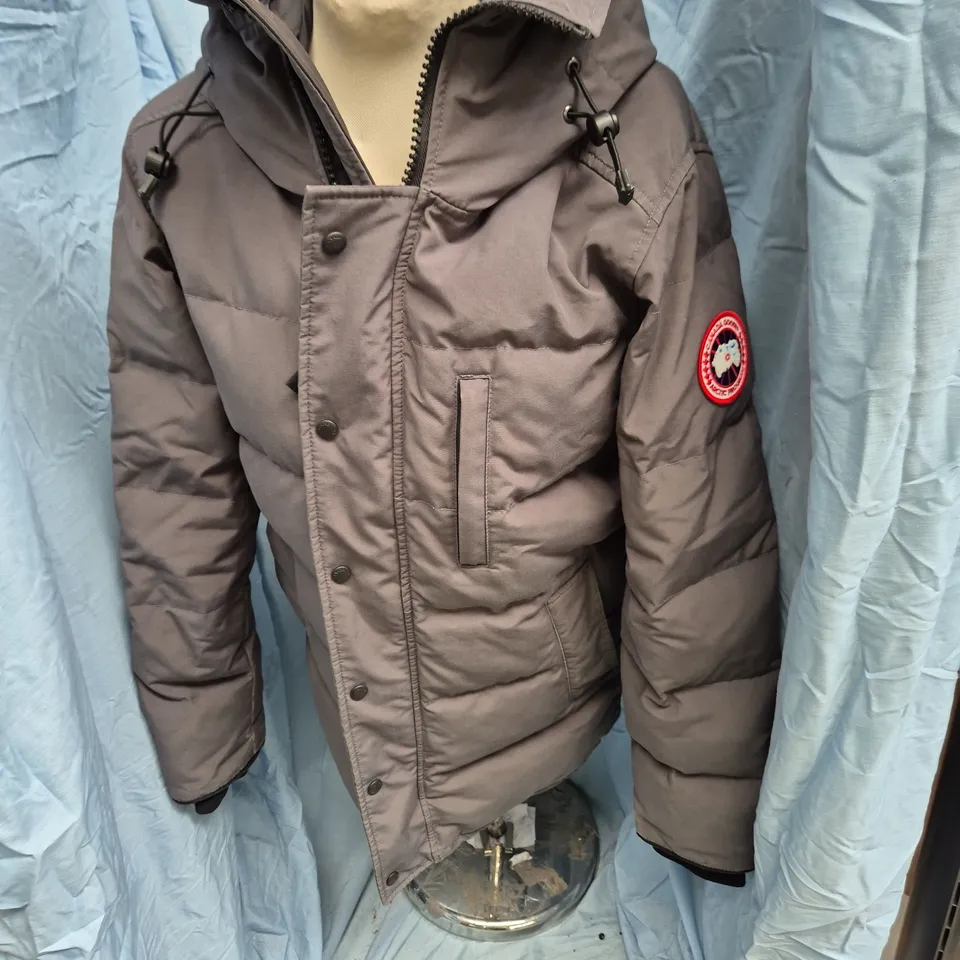 CANADA GOOSE ARCTIC PROGRAM PARKA JACKET – GREY, SIZE S/P