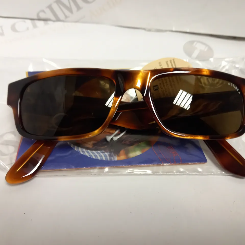 APPROX 10 DERIGO STING SUNGLASSES 