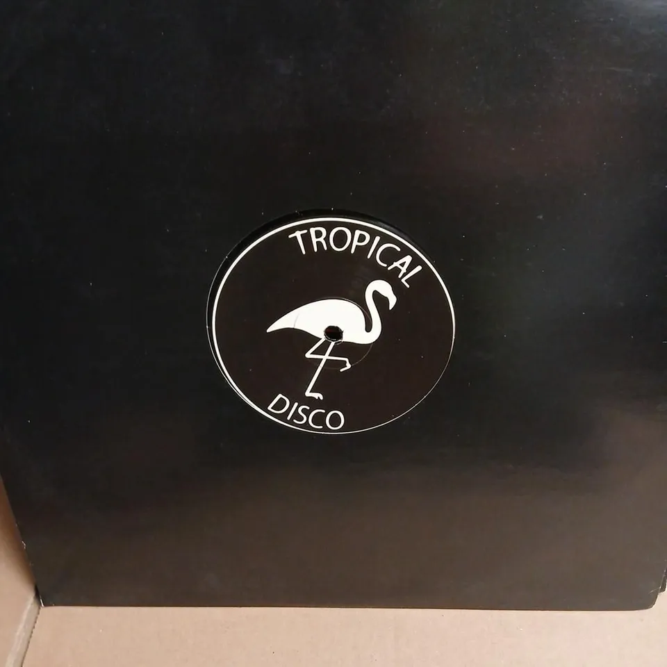 APPROXIMATELY 10 ASSORTED VINYL RECORDINGS TO INCLUDE; SOUL RADIO, RENEE RAP, LAUFEY, ULTRA NATE, GRANDMASTER AND MELLE MEL, HONEYBLOOD, THE POWER STATION AND ANDY TAYLOR