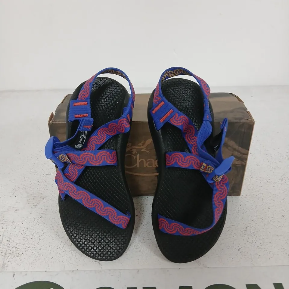 CHACO Z1 CLASSIC SANDAL – WOMEN'S UK 3 (US 5), GAINS ROYAL / BLEU ROYAL