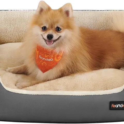 BOXED FEANDREA DOG BED