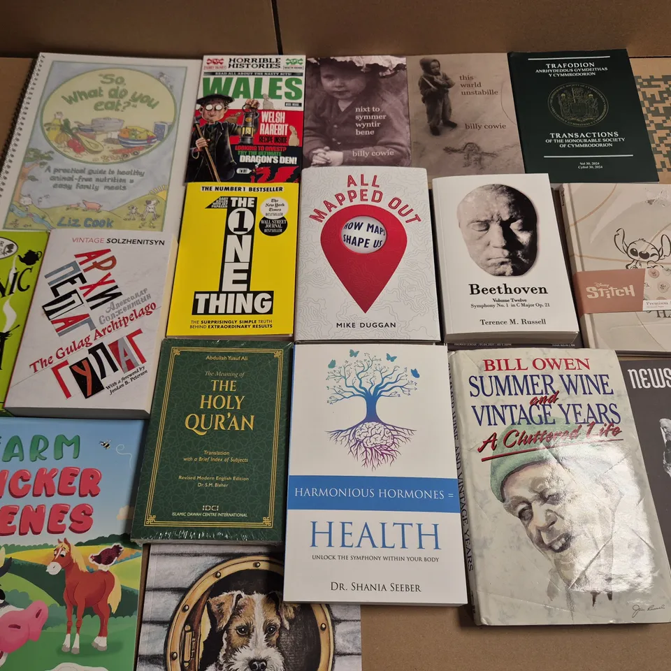 LARGE QUANTITY OF ASSORTED FICTION & NON-FICTION BOOKS WITH WORKS FROM LOUISE BAY, MICHAEL REIT, JOHN FERRIS, ETC - COLLECTION ONLY